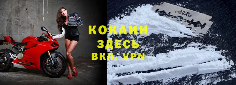 Cocaine Боливия  мега как войти  Межгорье 