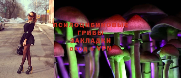 PSILOCYBIN Богородицк